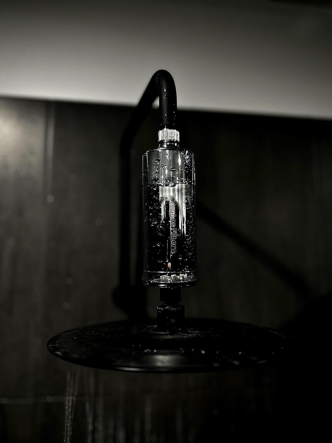 Deluxe Shower Filter