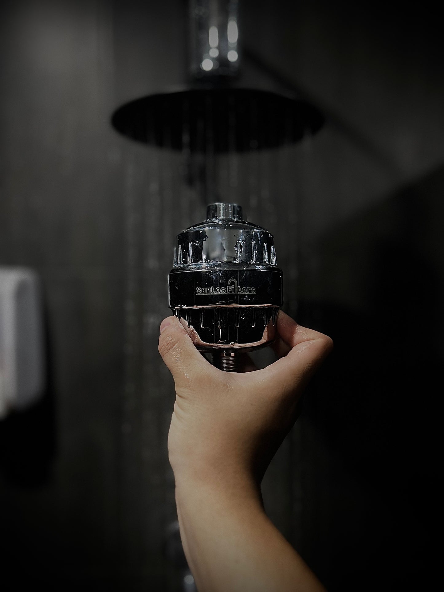 Standard Shower Filter